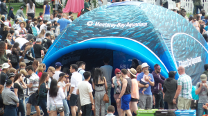 baitball tent